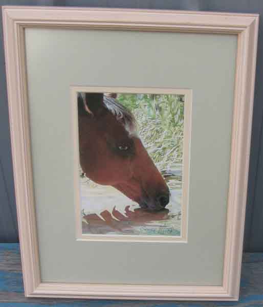 Gerry Morris Framed Print Horse Drinking From Pond Framed Print Artwork Bay Horse