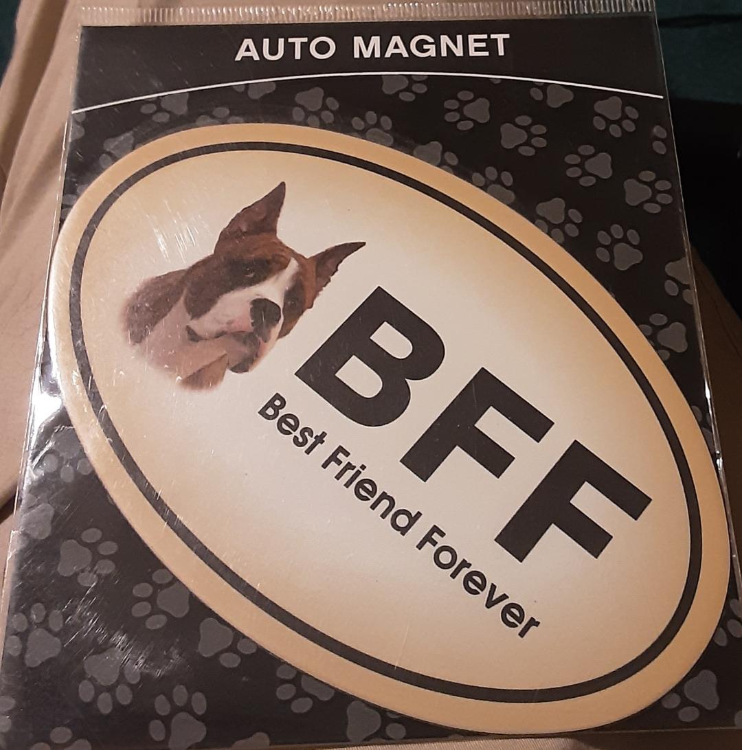 Boxer Dog Car Fridge Magnet BFF Oval Dog Refrigerator Magnet