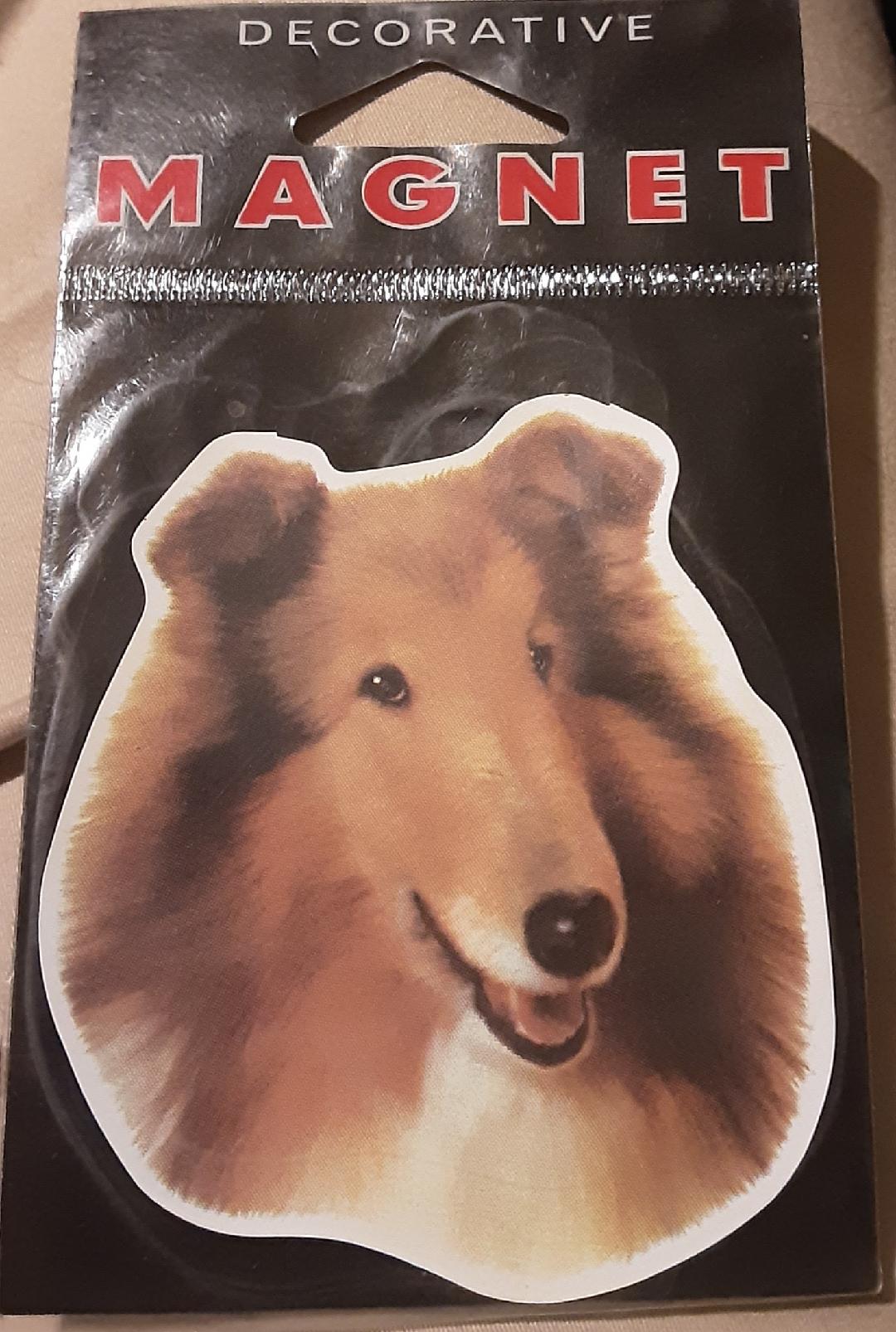 Collie Car Fridge Magnet Lassie Dog Refrigerator Magnet