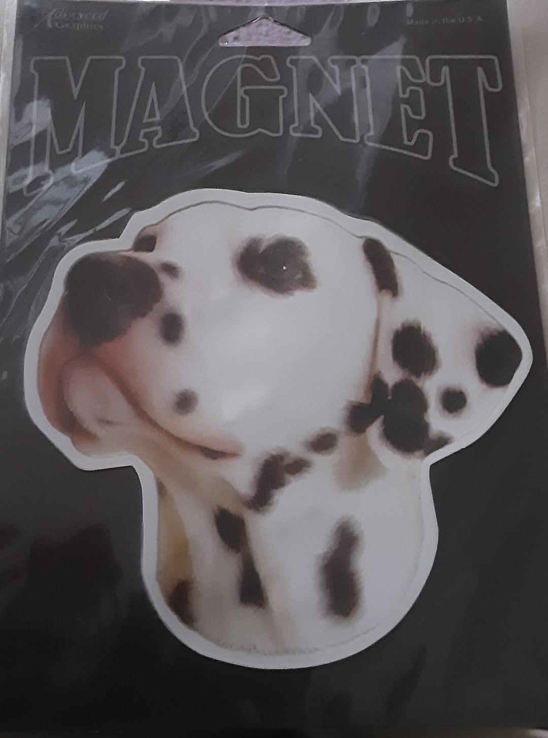 Dalmatian Car Fridge Magnet Dog Refrigerator Magnet