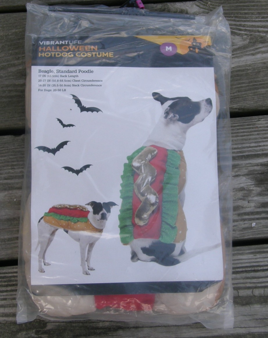 Vibrant Life M Dog Halloween Costume HotDog Dog Costume