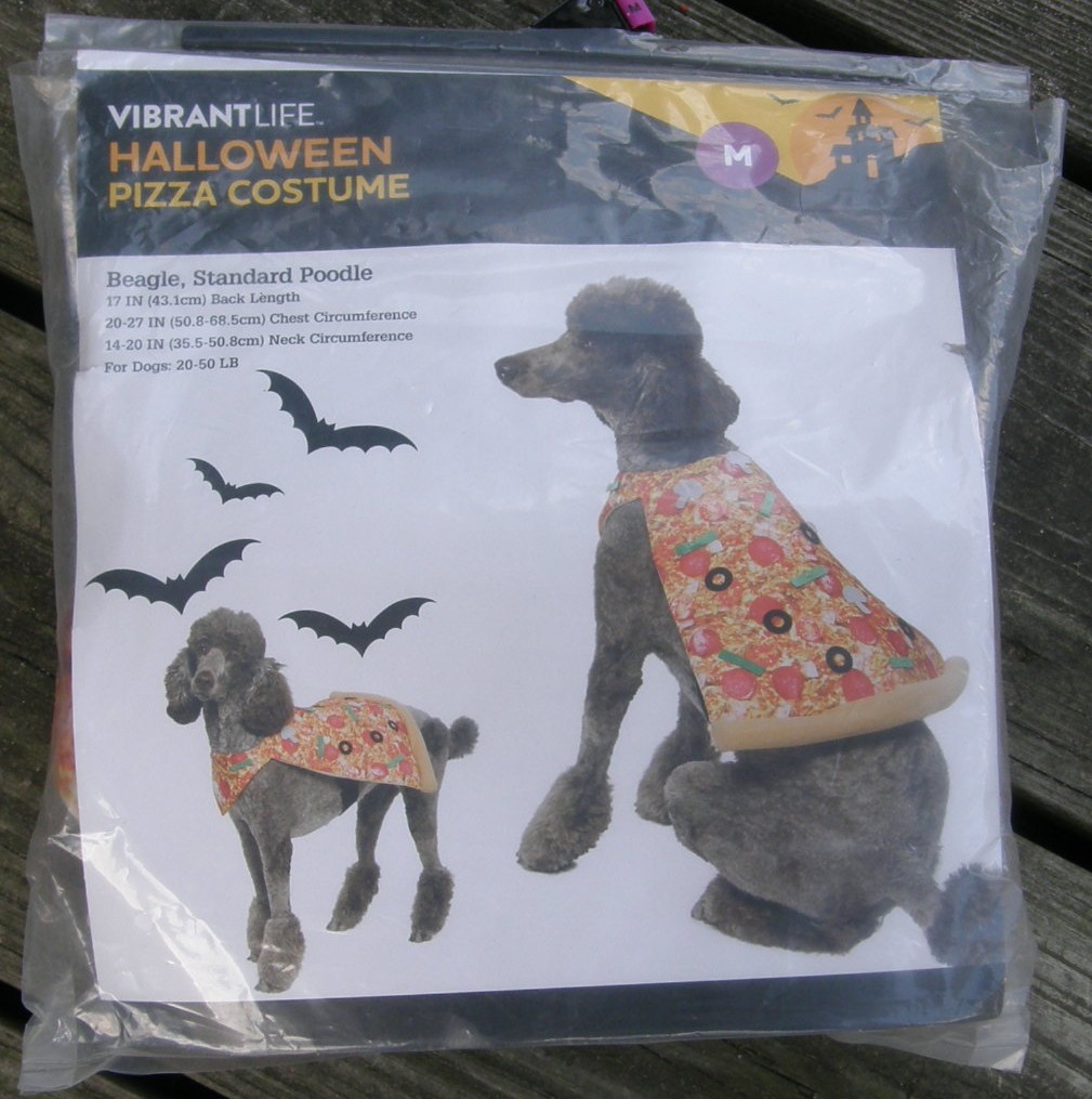 Vibrant Life M Dog Halloween Costume Pizza Slice Dog Costume