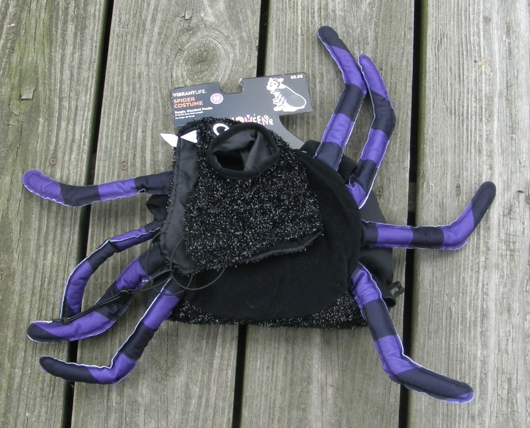 Vibrant Life M Dog Halloween Costume Spider Dog Costume