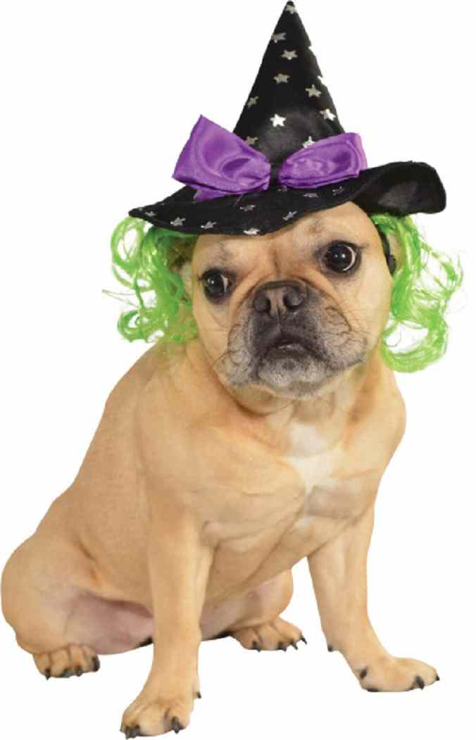 Rubies Pets Halloween Costume Accessory Witches Hat With Green Hair S/M Dog Costume Cat Costume
