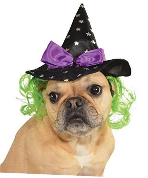Rubies Pets Halloween Costume Accessory Witches Hat With Green Hair M/L Dog Costume