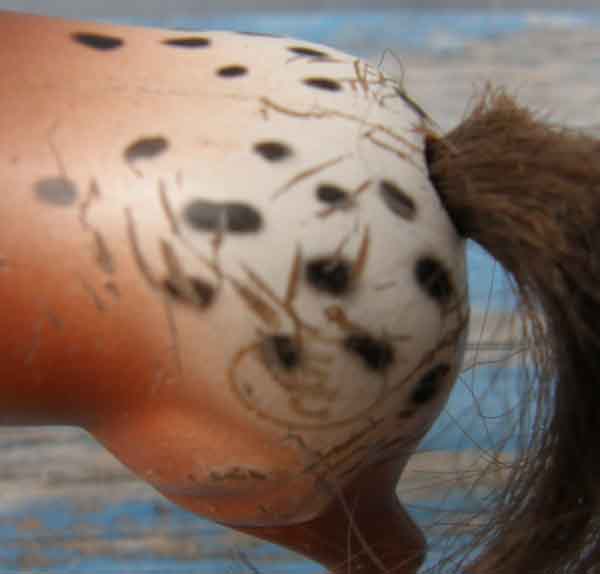 Vintage Grand Champions FNN Horse Feed N Nuzzle Horses Trickster Bay Appaloosa Foal Grand Champions Horse