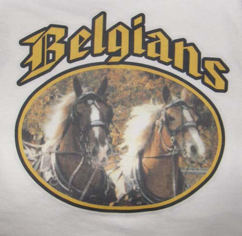 Belgian Draft Horse T-Shirt, Horse Tee Shirt