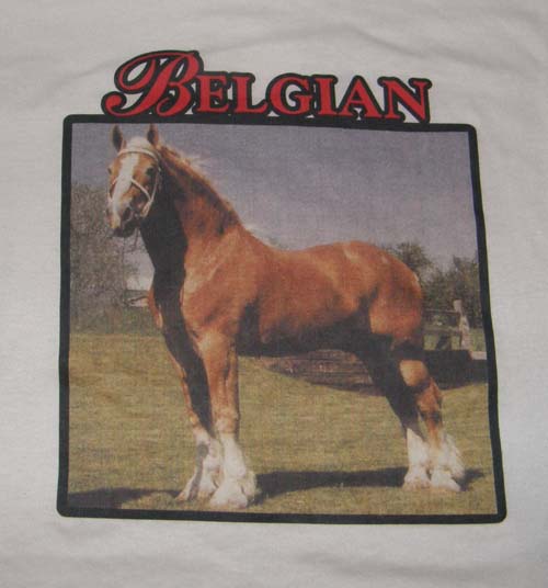 Belgian Draft Horse T-Shirt, Horse Tee Shirt