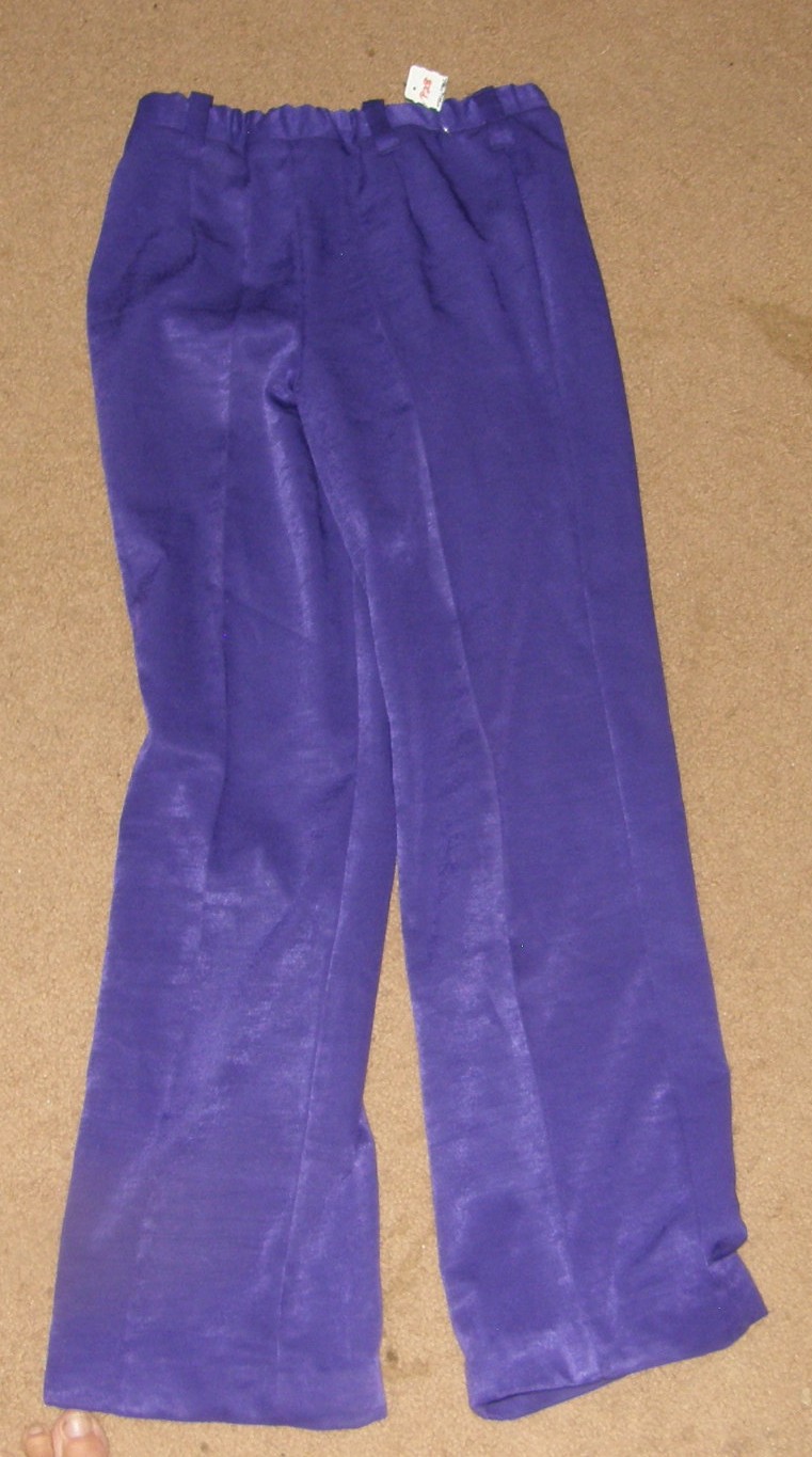 Western Show Pants Western Showmanship Pants Purple Ladies S