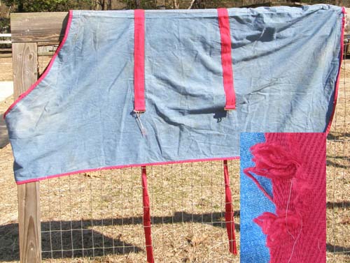 72” CF Cotton Heavy Denim Stable Sheet Horse Blue