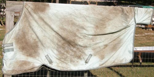 84" OF Horsewear Amigo Turnout Sheet High Cut Neck No Fill Amigo Hero 6? Horse Lt Blue/Grey