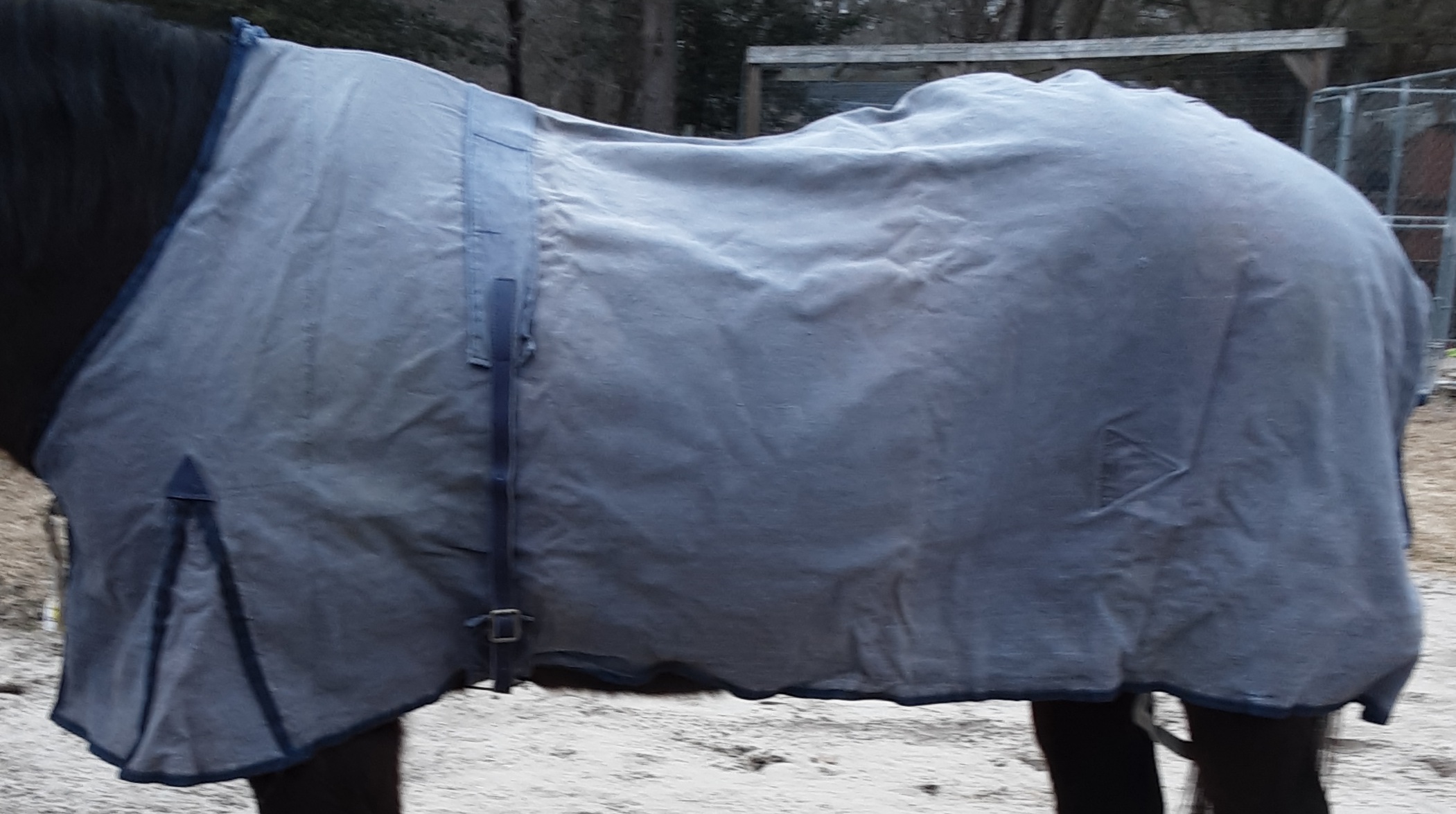 74” OF Millers Water Resistant Turnout Sheet New Zealand Rug Style Horse Navy Blue