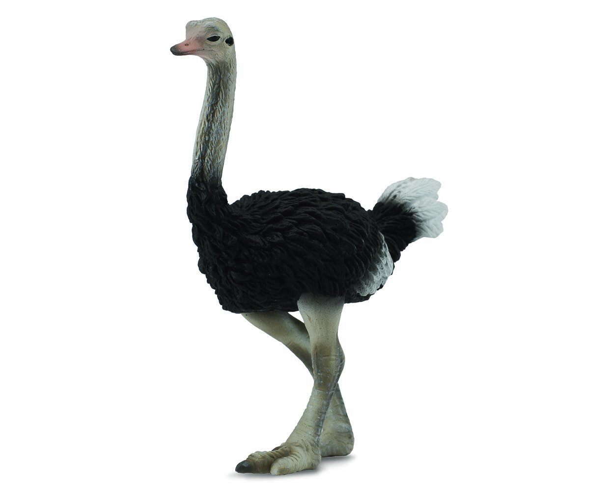 #88459 Breyer CollectA Ostrich Safari Jungle Wildlife