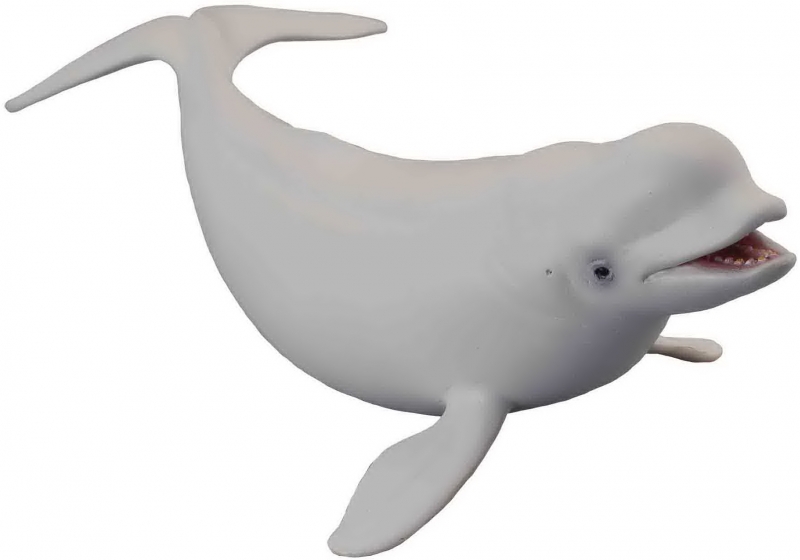 #88568 Breyer CollectA Beluga Whale White Whale Marine Mammal Sea Life