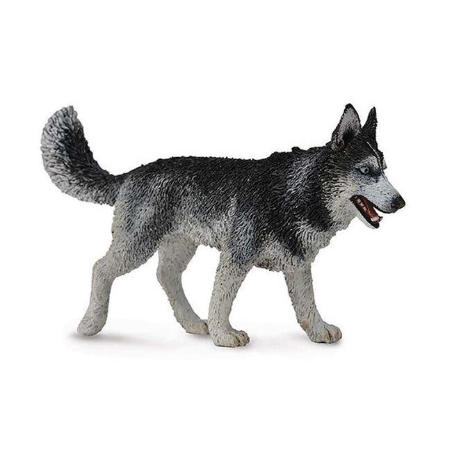 #88707 Breyer CollectA Siberian Husky Dog