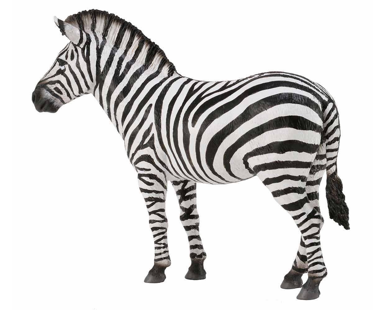 #88830 Breyer CollectA Common Zebra Plains Zebra Safari Jungle Wildlife