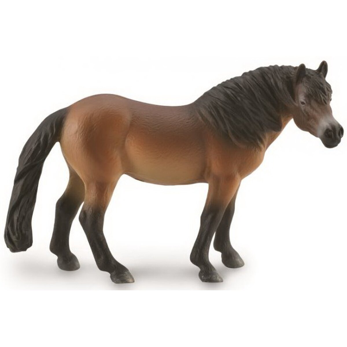 #88873 Breyer CollectA Bay Exmoor Pony Stallion