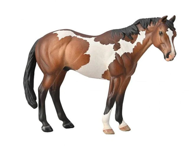 #88956 Breyer CollectA Bay Overo Paint Appaloosa Stallion