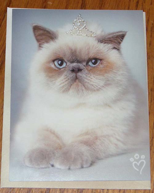 Birthday Card Leanin' Tree Greeting Card Persian Himalayan Cat Card Rachael Hale