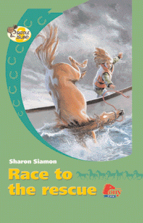 Saddle Island Race To The Rescue Horse Book By Sharon Siamon