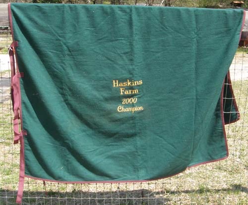 Wool Blend Square Cut Wool Cooler Award Show Cooler Pony Cooler Hunter Green/Burgundy