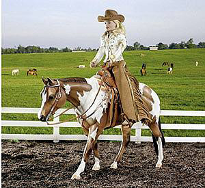 Breyer #1191 Western Elegance Western Show Saddle Rider Doll Set Dun Paint Pinto Zippo Pine Bar Limited Edition 2nd Elegance Collection Series Presentation Base Tack Trunk