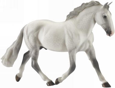 #1277 O'Leary's Irish Diamond Grey Irish Draught Draft Dapple Grey Cleveland Bay