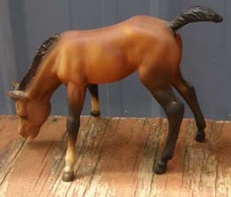 #151 Bay Grazing Foal Buttons & Bows