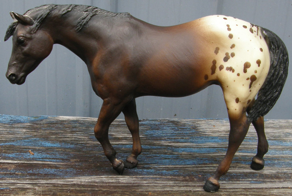 #174 Indian Pony Dark Bay Brown Blanket Appaloosa App Indian Pony