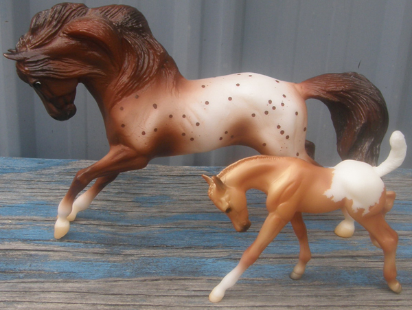 #300362 Americas Wild Mustangs Appaloosa Charging Mesteno Palomino Blanket App Frolicking Foal TSC SR 2018