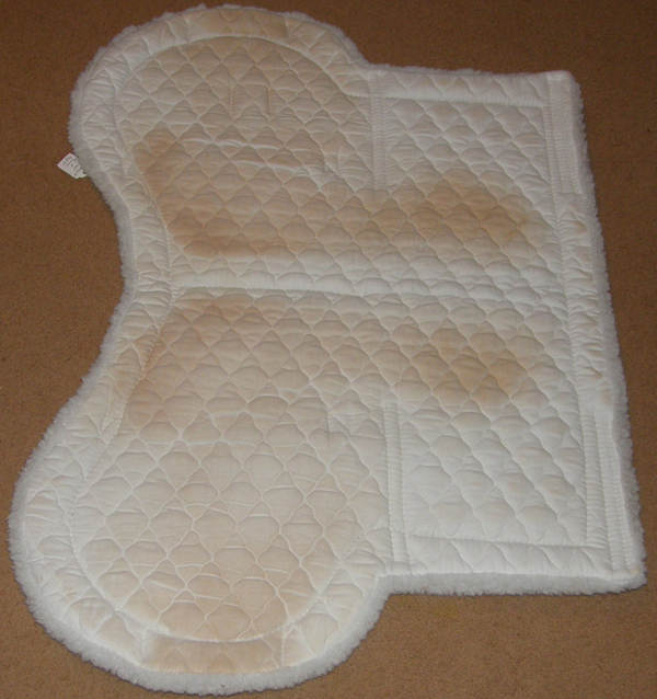 Toklat Medallion Superquilt Competition Show Pad Number Pad