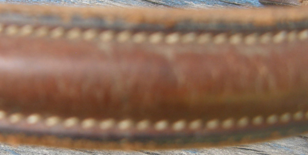 Brown Lined Padded Leather Round Raised English Caveson & Browband Cob