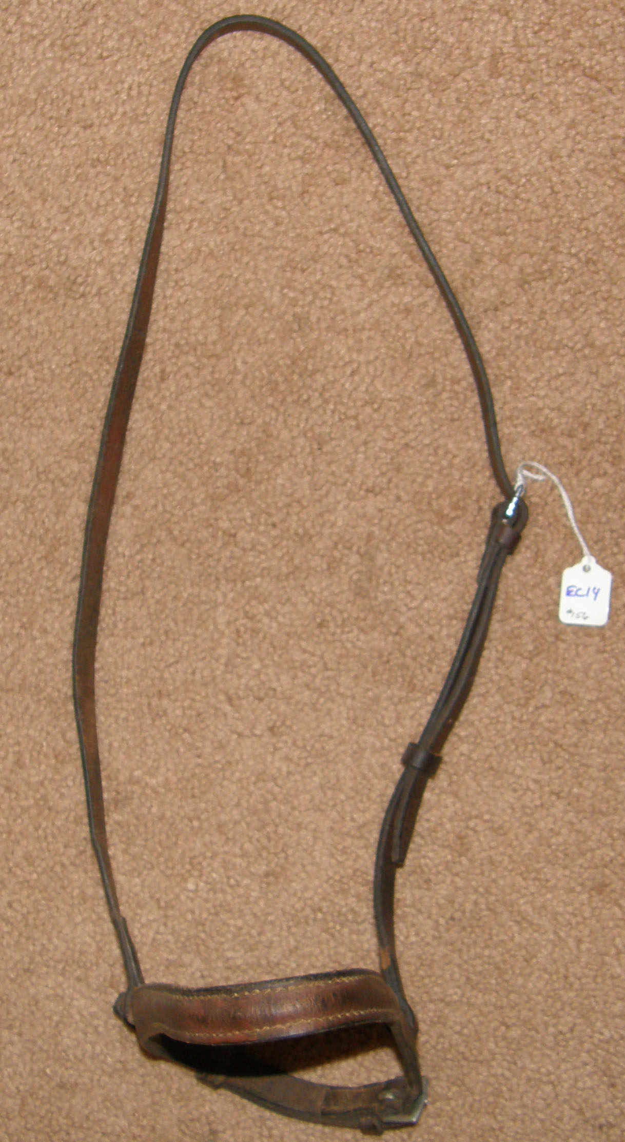 Round Raised English Caveson Brown Horse