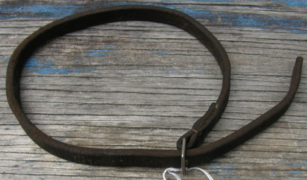 Flash Noseband Strap Replacement Flash Attachment Strap S Horse Black