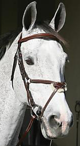 HDR Pro Mono Crown English Headstall Henri de Rivel Figure 8 Bridle Padded Round Raised Noseband Pro Stress Free Figure Eight Noseband Bridle Brown Cob