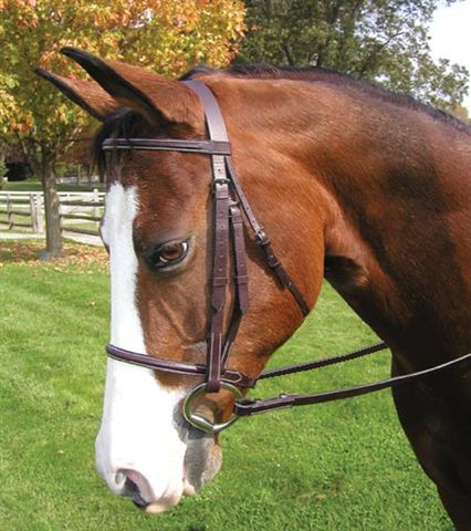 100% GENUINE LEATHER HUNTER PLAIN BRIDLE WITH 2" & 1.5" NOSEBAND & GIRP REINS 