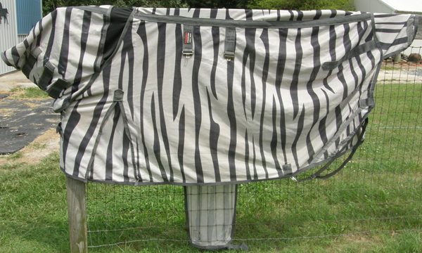 76” OF Schneiders Attached Neck Euro Bellyband Zebra Fly Sheet Poly Mesh Fly Sheet with Belly Band Turnout Sheet