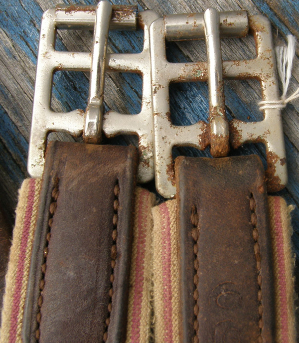 Padded Shaped Leather Overlay English Girth Elastic Ends Dark Brown 50"