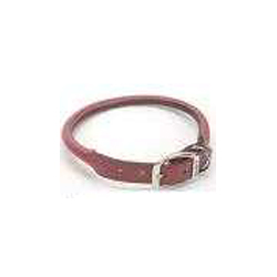 Coastal Pet Circle T 20” Rolled Leather Dog Collar