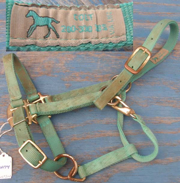 3/4” Adjustable Chin Throat Snap Halter Weanling Horse Pony Mini Donkey Nylon Halter Teal Green