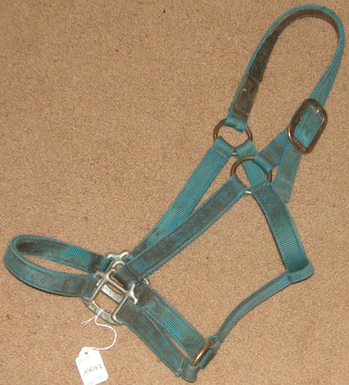 BMB Heavy Duty Halter 1” Nylon Halter Horse Aqua Teal