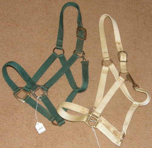 Nylon Halter with Throat Snap Horse Halter Hunter Green White