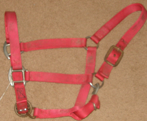 Heavy Duty Adjustable Halter Nylon Halter with Throat Snap Horse Halter Red