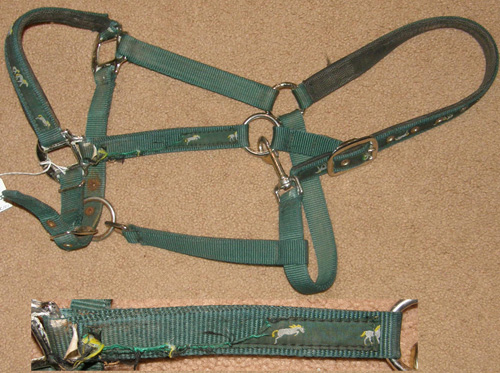 Practical Choice Lined Adjustable Halter Nylon Halter with Throat Snap Horse Halter Hunter Green Horse Print Trim Overlay