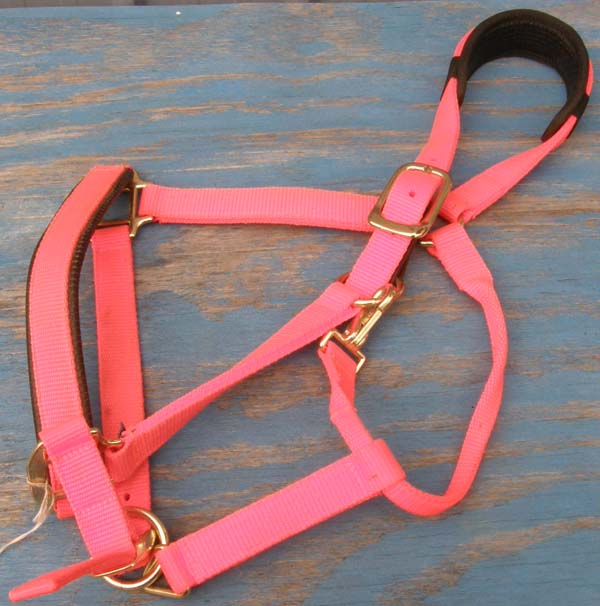 Tough 1 Single-Ply Leather Crown Replacement Straps Horse