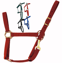 Unbridled Equine Economy Nylon Halter with Throat Snap Horse Halter Blue Hunter Green
