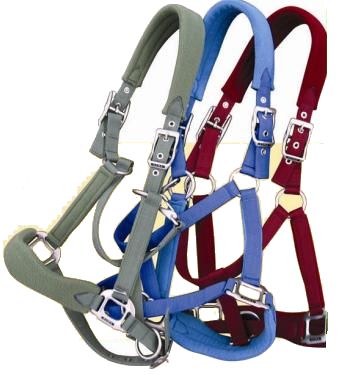 Unbridled Equine Deluxe Micro Fleece Padded Nylon Halter Adjustable Fleece Lined Nylon Halter with Throat Snap Cob Halter Red Lt Blue Purple Lt Green