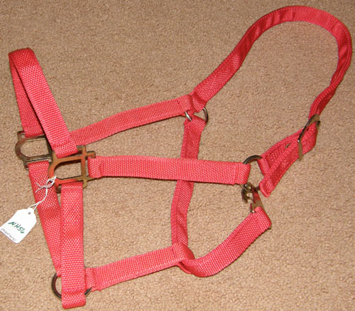 Economy Nylon Halter with Throat Snap Horse Halter Red