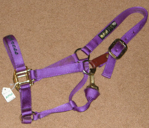 BMB Nylon Halter 1" Horse Nylon Safety Halter with Throat Snap Purple