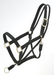 Tough-1 Eagle Equine Nylon Pull-Back Halter M Horse Black